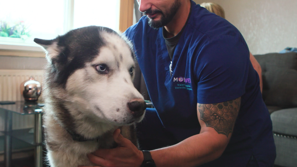 2695-Covetrus---Mobi-Vets---Main-Video_02174